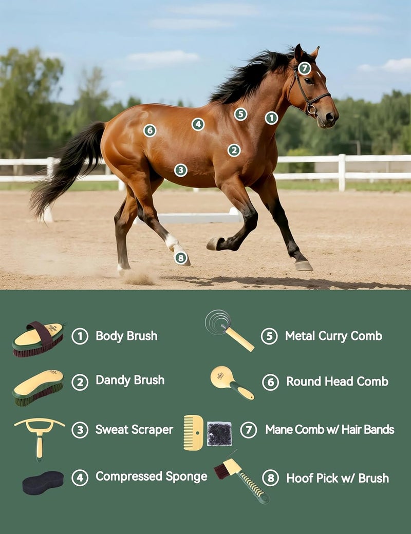 Furrishine 9PCS Horse Grooming Kit Curry Comb Sweat Scraper Horse Bathing Supplies Grooming Tools with Storage Bag Pasture Glow - Image 2